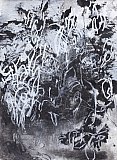 Autumn Evening Light - Threadbare Tapestry